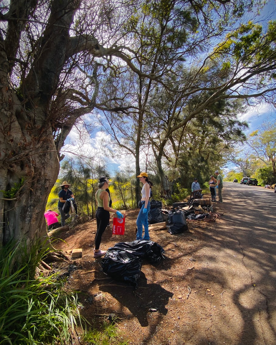 Volunteers sorting bagged waste and roadside debris beneath the trees on Holomua Road