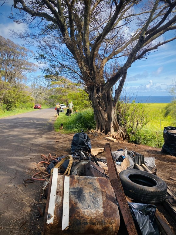 A tire, metal, and other discarded items collected beside a large roadside tree