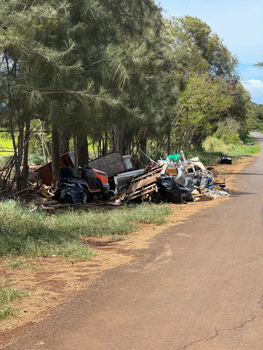 A large pile of dumped appliances, furniture, and other debris beside Holomua Road