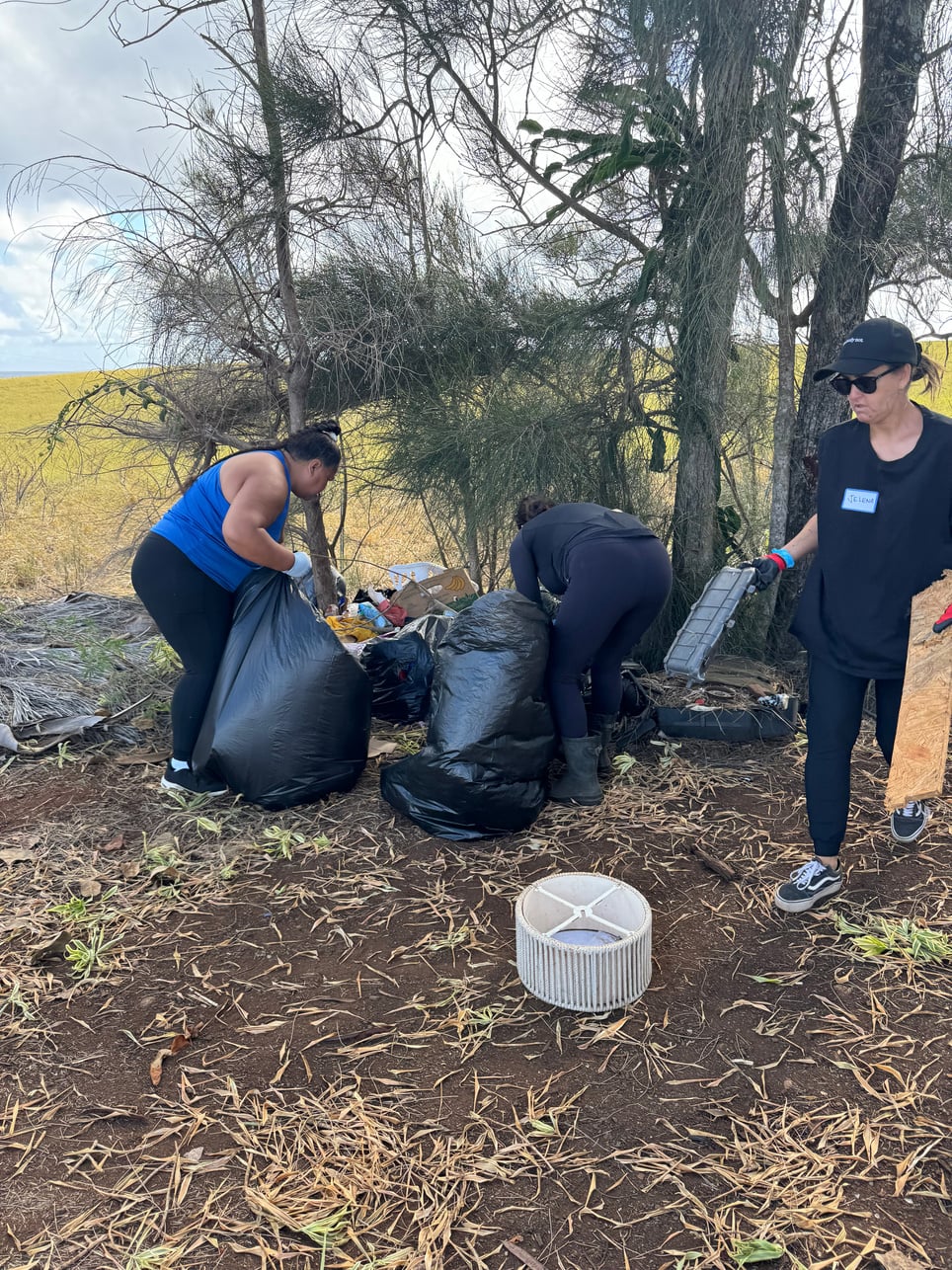 Three volunteers bagging refuse beneath roadside trees during the August cleanup