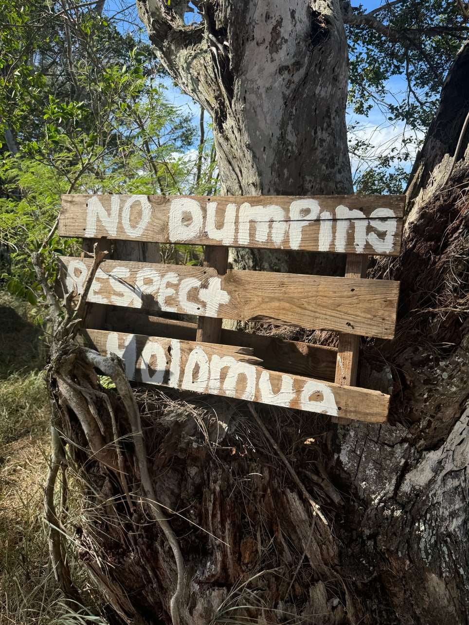 A handmade sign reading no dumping, respect Holomua, attached to a tree
