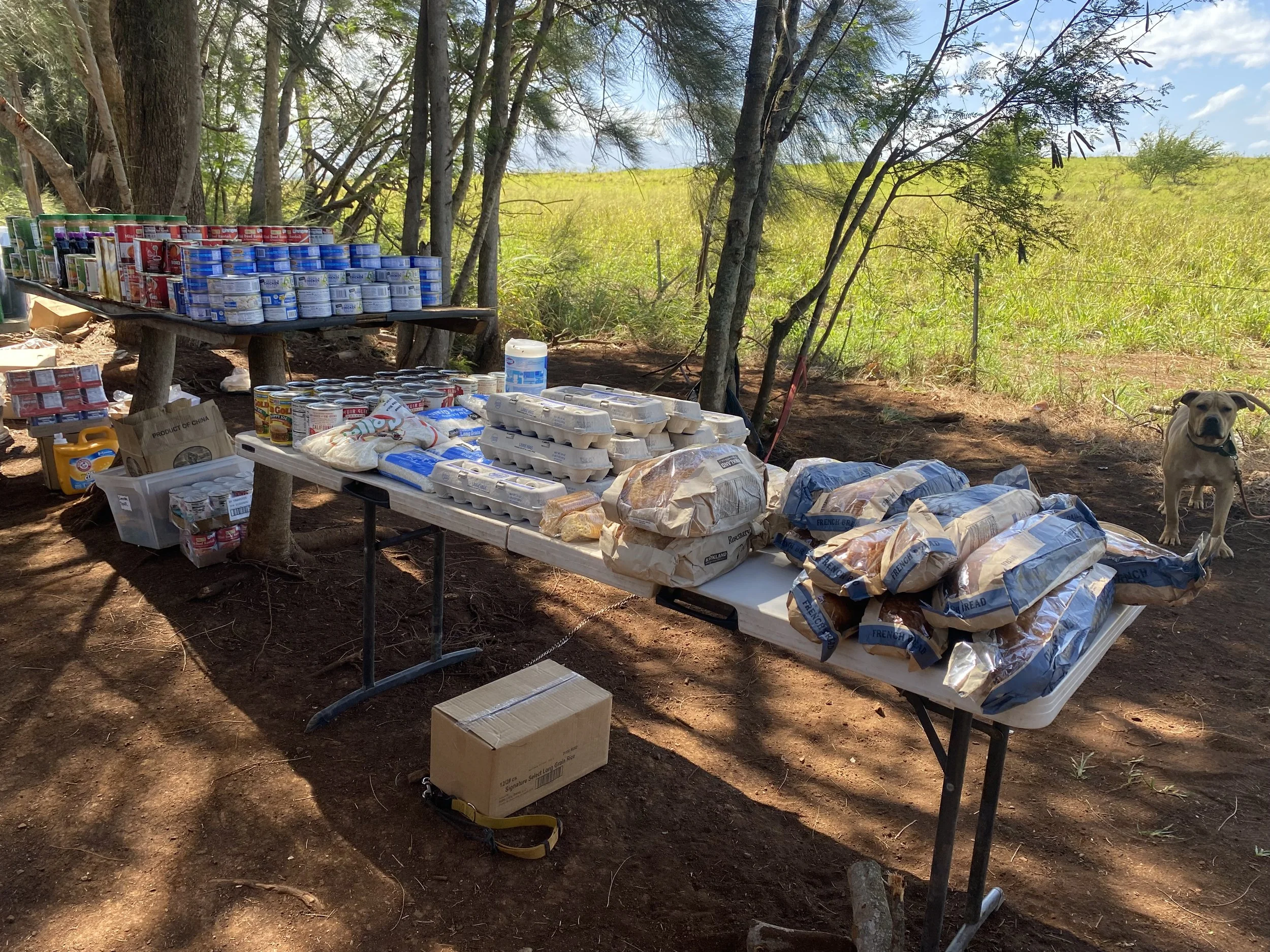 Food and essential supplies arranged on tables for community distribution