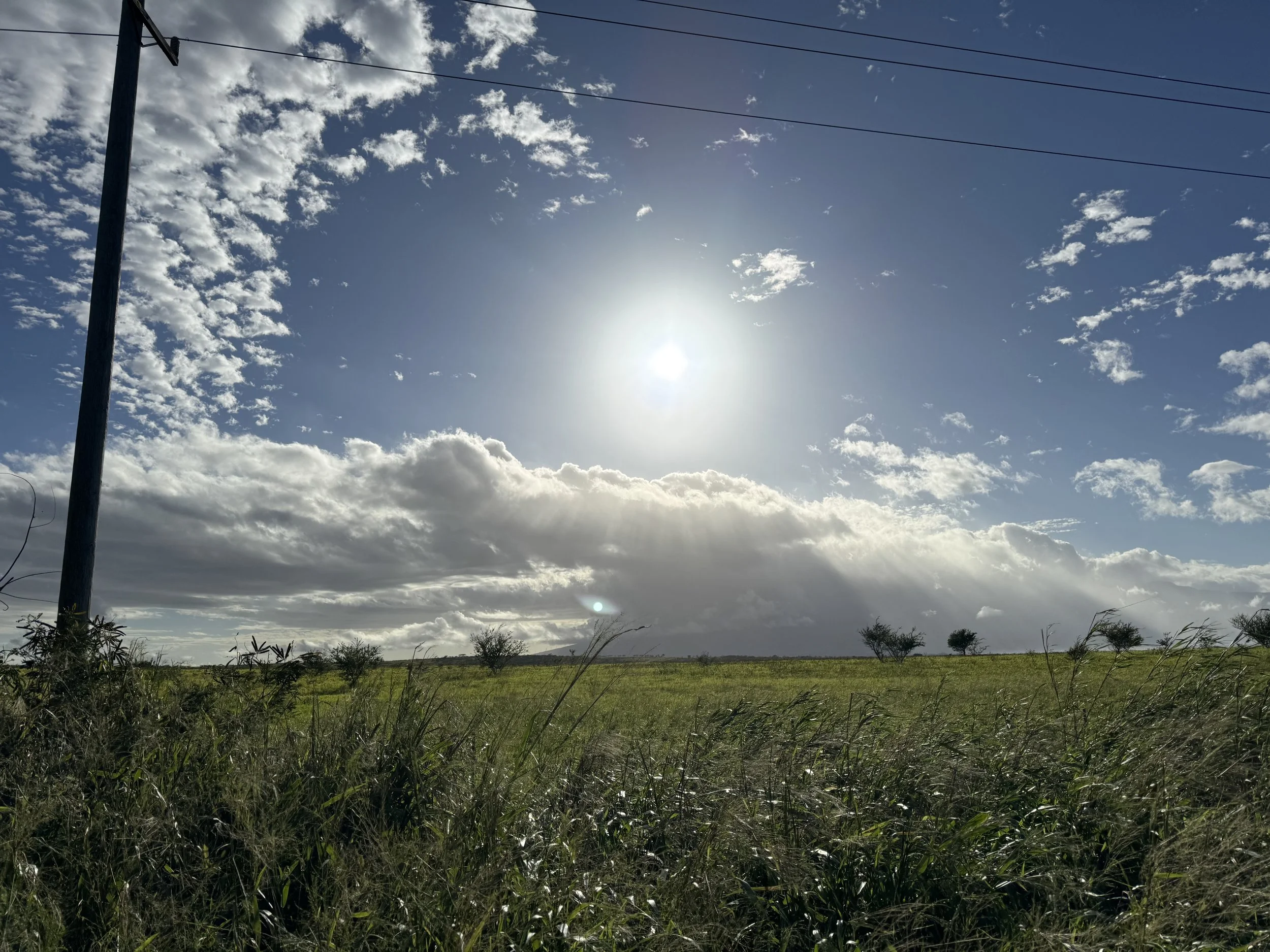 Sunlight over an open Hāmākua field beneath a wide Maui sky
